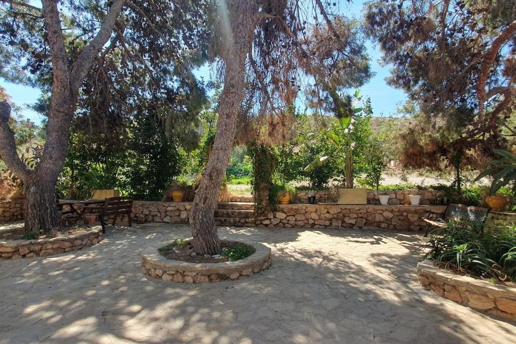 Oasis De Ifre Villa Canada de Gallego Exterior photo